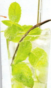 Vanilkové mojito